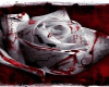 bloody rose rug