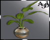 A3D*Turkish Pot Plant 2