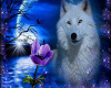 white wolf purple flower