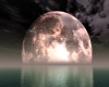 Mystical Moon Poster
