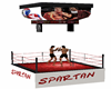 gym boxe ring