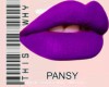 PANSY