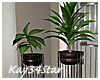 City Tall Plant Decor