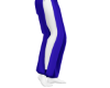 Royal Blue Tease