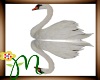 *M* Spring Swan