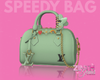 Light Green Speedy Bag