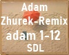 Adam Zhurek Remix