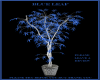 Blue Leaf Plant