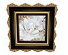 White Rose Framed Pic