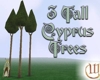 Cyprus-Stand of 3-Tall