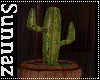 (S1)Country Cactus