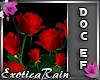 (E)DOC Effects: Roses