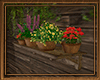 *VK*Shelf with plants