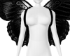 Black Wings