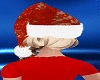 🤶Hat+Hair Santa