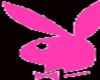 Transplant-Playboy Bunny