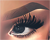 I│Tracy Brows Brwn 2