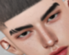 ððð. Toshiro V2