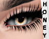 *h* Raven Eyes