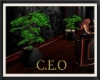 ~SB CEO Potted Plant