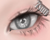 Eyes-14