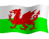 Welsh Flag (Waving)