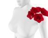 🥀 Rose L Sh