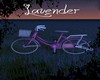 Lavender Bike