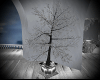 Ice Sky Tree