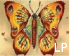 LILY'S NATIVE BUTTERFLY