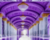 Purple room 9 bg
