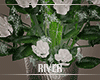 R&bull; MCM Flowers
