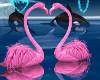 Love Flamingos Reflect
