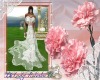 Wedding Elegant Wht Lace