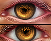 🅉 - Derivable Eyes