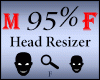 Scaler Head