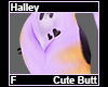 Halley Cute Butt F