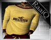 [RQ]Hollister|Sweater