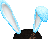 Easter Bunny Ears Blue M