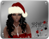 [BIR]Christmas*Hat