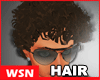 [wsn]Curly#Brown