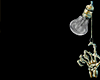 Z* Golden Blood Claws