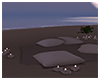 Exotic Island Pillow Rug