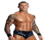 Randy Orton 1