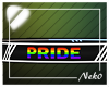 *NK* Pride BodySign