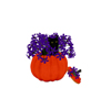Cat In Pumpkin/Purple Fl