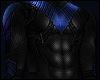 NIGHTWING/Suit