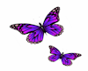 Purple Butterfly Deco