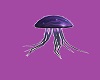floating jellyfish
