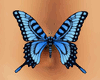 butterfly belly piercing